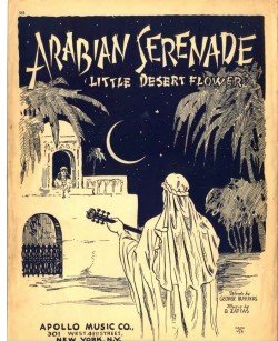 ARABIAN SERENADE