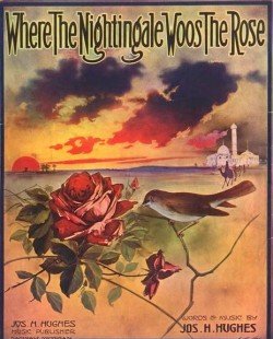 WHERE THE NIGHTINGALE WOOS THE ROSE