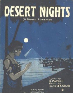 DESERT NIGHTS