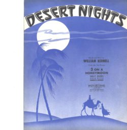 DESERT NIGHTS